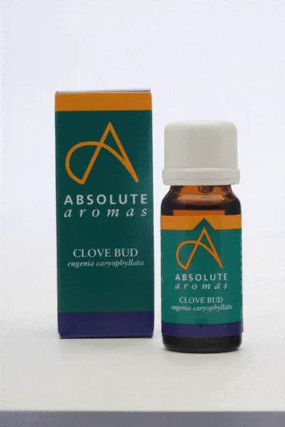 Absolute Aromas Clove Bud, 10ml