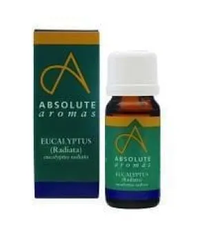 Absolute Aromas Eucalyptus Radiata, 10ml