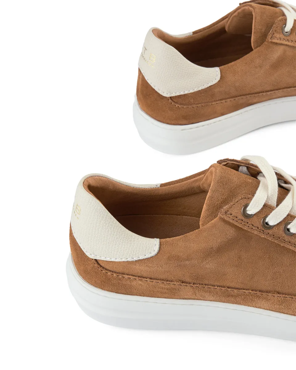 Aren Suede Sneaker - TAN