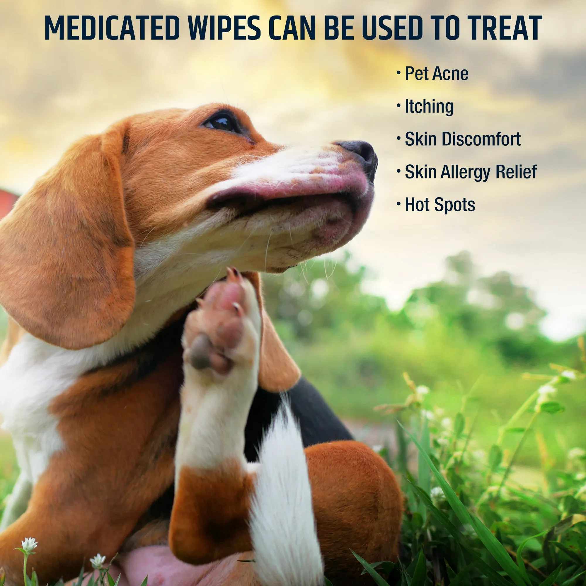 Chlorhexidine Wipes for Dogs and Cats - 50 Count