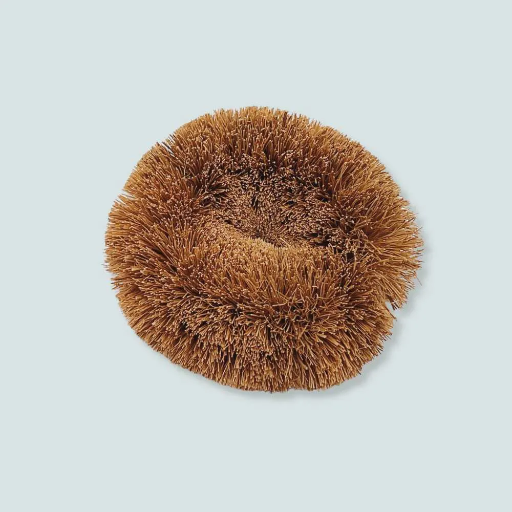 Coconut Scourer