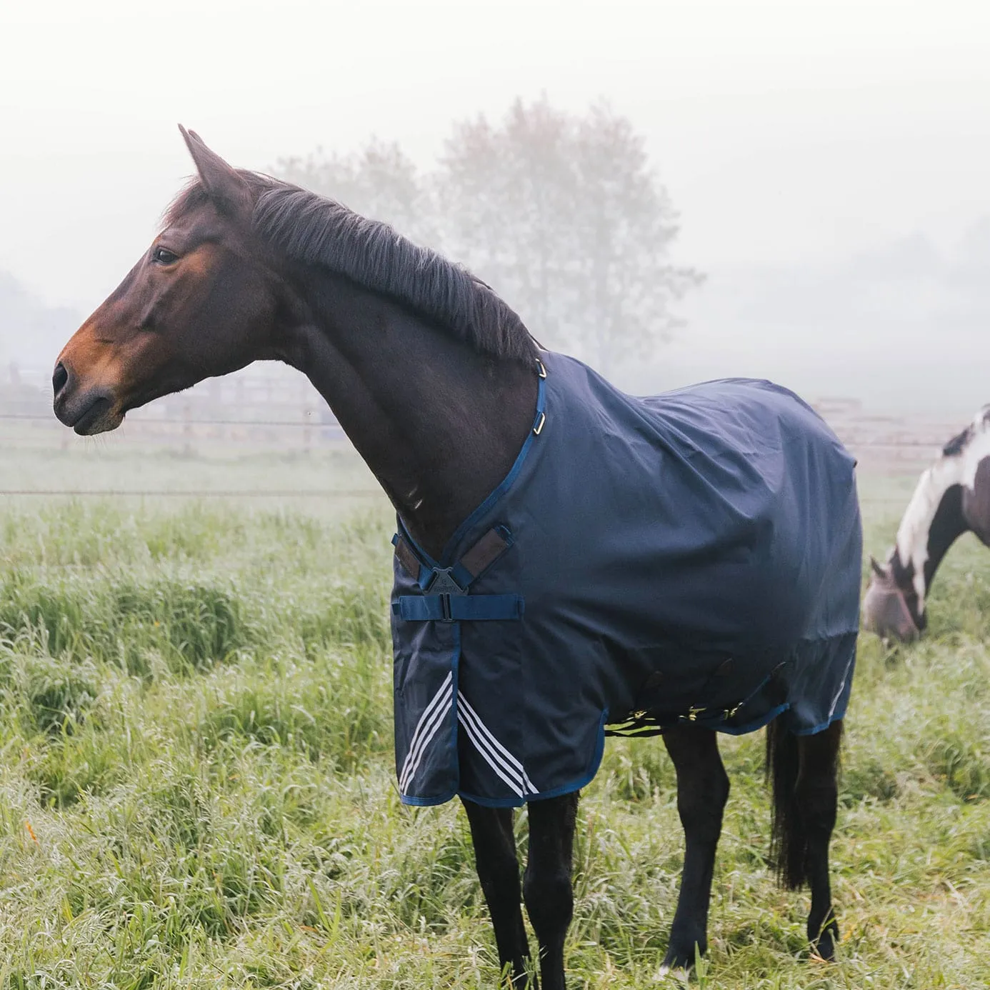 Kentucky Horsewear All Weather Comfort Turnout Rug 300g - Navy