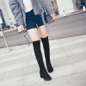 Women's Suede High Heel Knee High Boots